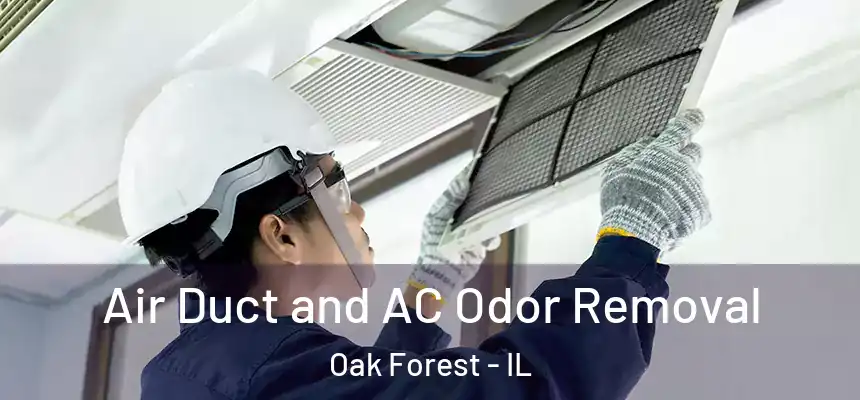Air Duct and AC Odor Removal Oak Forest - IL