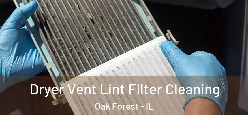 Dryer Vent Lint Filter Cleaning Oak Forest - IL