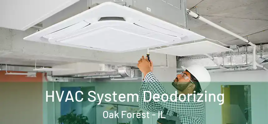 HVAC System Deodorizing Oak Forest - IL