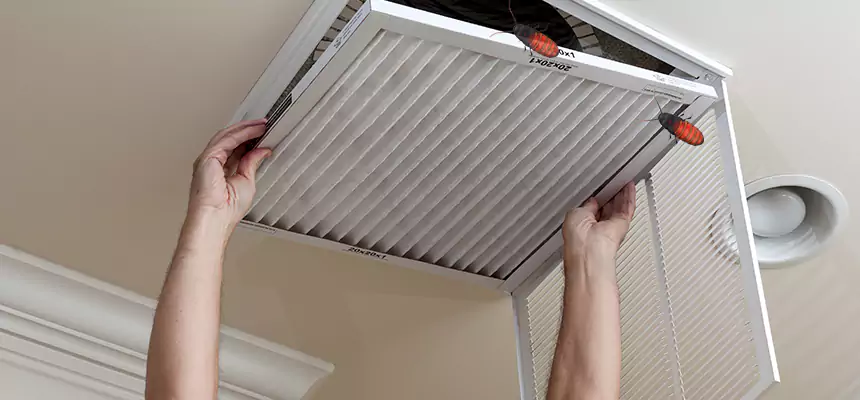 Our Insect Removal from Air Ducts Services in Oak Forest, IL