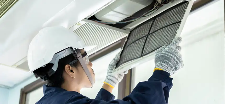 Our Lint Trap Cleaning Service Services in Oak Forest, IL