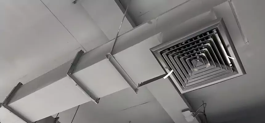 Our Rodent Droppings In Vents Services in Oak Forest, IL