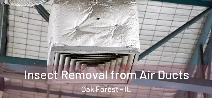  Insect Removal from Air Ducts Oak Forest - IL