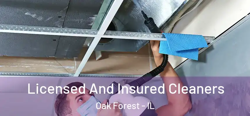 Licensed And Insured Cleaners Oak Forest - IL