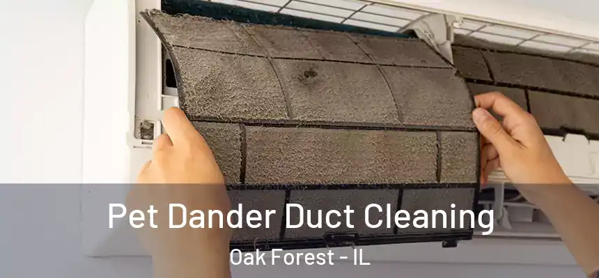  Pet Dander Duct Cleaning Oak Forest - IL
