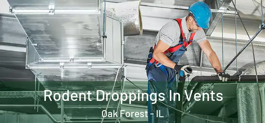 Rodent Droppings In Vents Oak Forest - IL