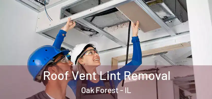 Roof Vent Lint Removal Oak Forest - IL