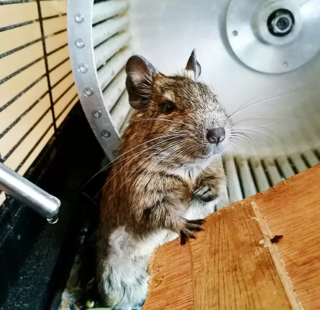 Why Homeowners & Businesses Trust Us Oak Forest, IL