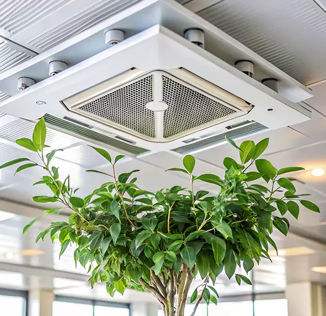 Why Homeowners & Businesses Trust Us in Oak Forest, IL?